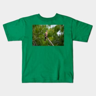 Posing Anhinga aka Snake Bird Kids T-Shirt